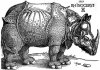 Dürer_-_Rhinoceros.jpg