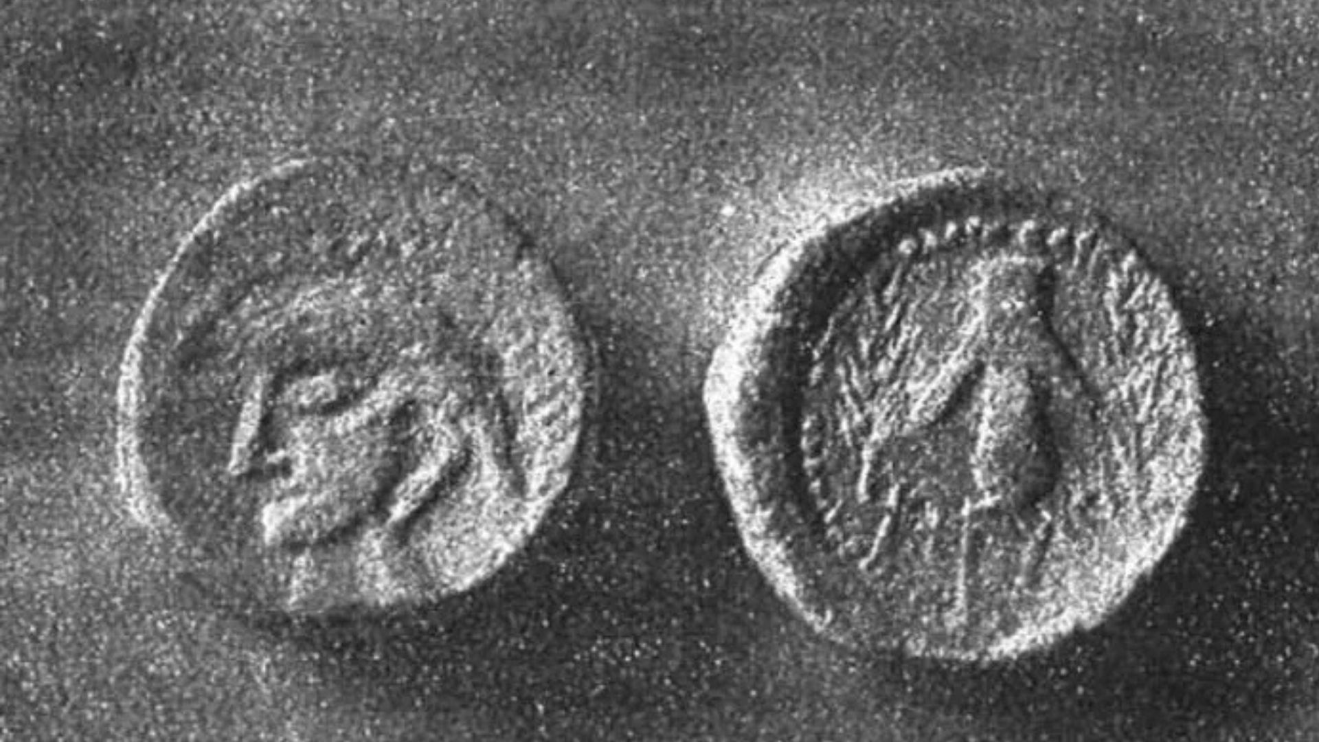 Design ohne Titel.jpg