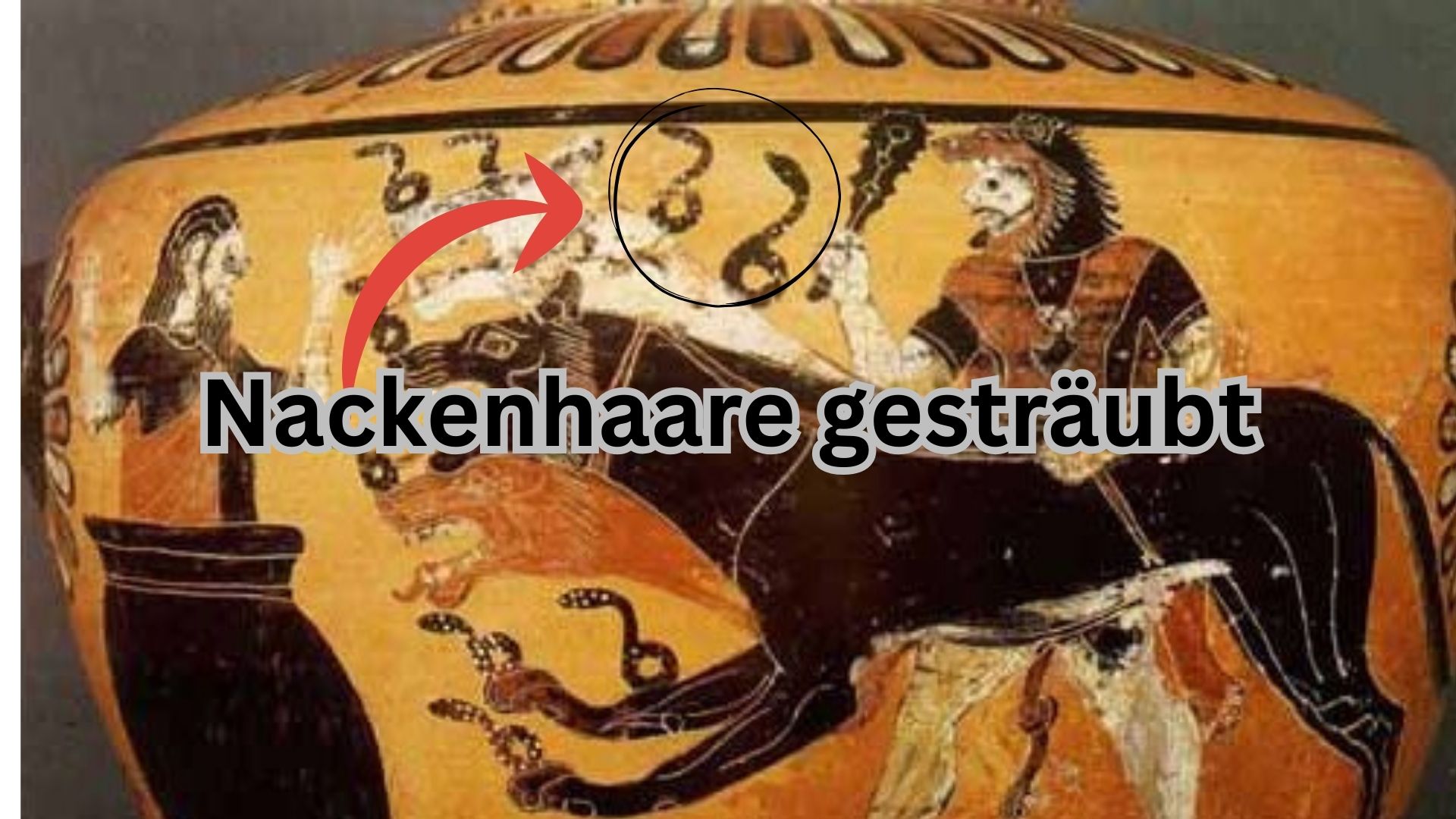 Nackenhaare gesträubt.jpg