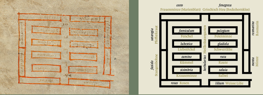 Screenshot 2026-09-28 at 10-15-52 Garten - Klostergarten St. Gallen.png