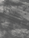 Screenshot_20240726-161633~4.png