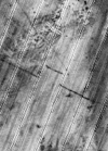 Screenshot_20240419-211954~4.png