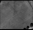 Screenshot_20241031-172149~2.png