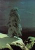 shishkin-nothernpine.jpg