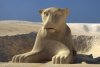 Sphinx_reconstr.jpg