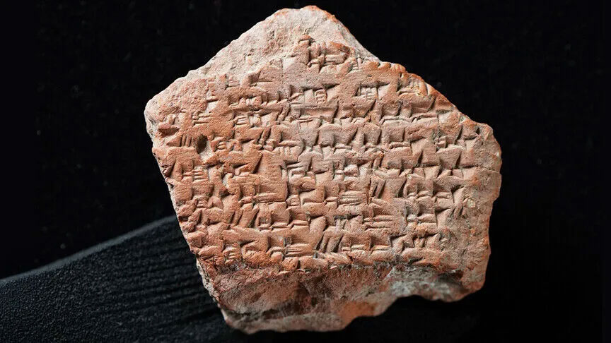 www.archaeology.wiki