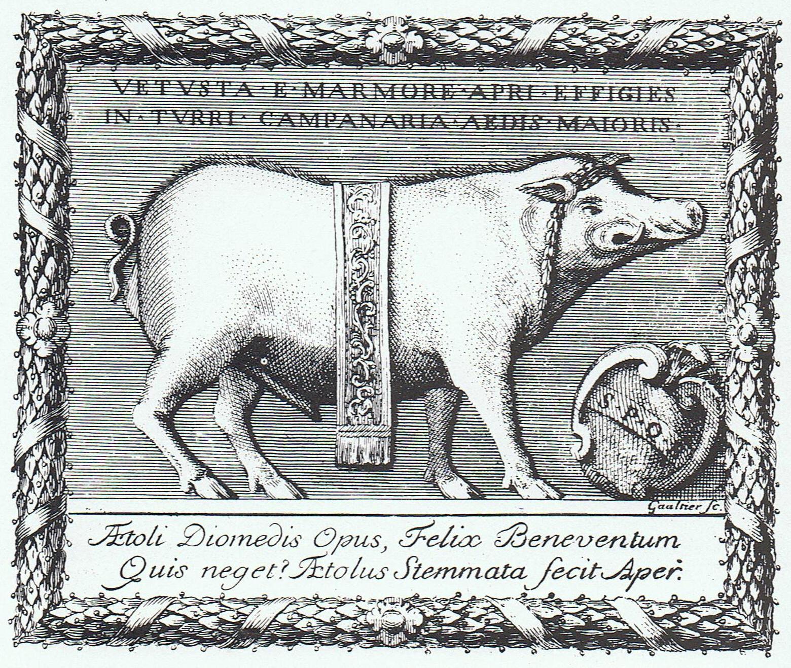Cinghiale_di_Benevento_incisione_XVIII_sec.jpeg