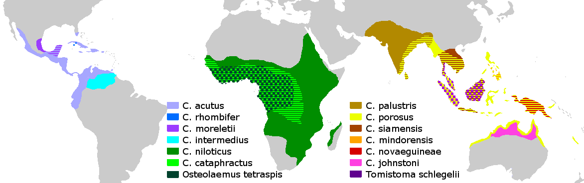 Crocodylidae_Distribution.png