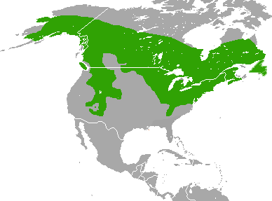 Tamiasciurus_hudsonicus_range_map.png