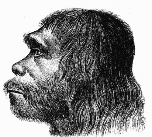www.wissenschaft.de