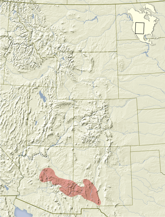 Tamias_cinereicollis_distribution_map.png