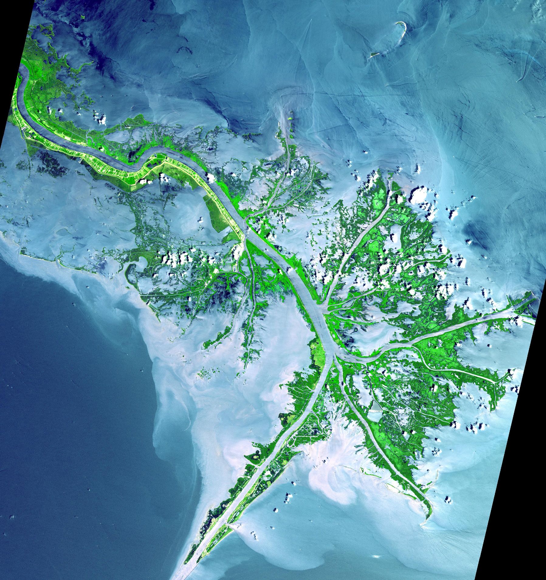Mississippi_delta_from_space.jpg
