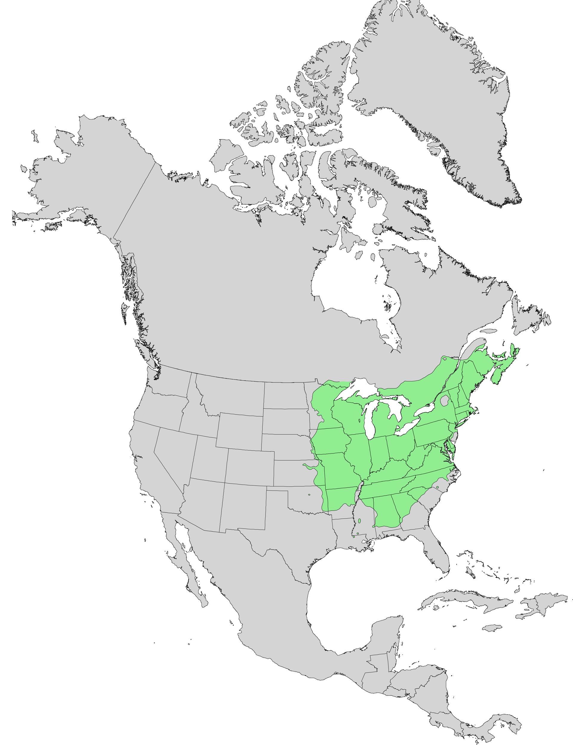 1920px-Quercus_rubra_range_map_0.png