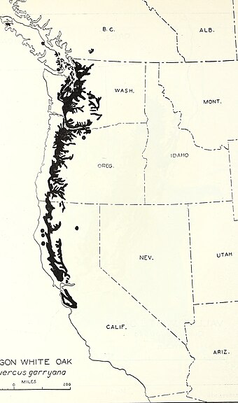 340px-The_distribution_of_important_forest_trees_of_the_United_States_%281938%29_Quercus_garryana_%2820983670071%29.jpg
