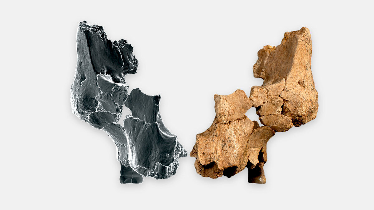 www.archaeologie-online.de
